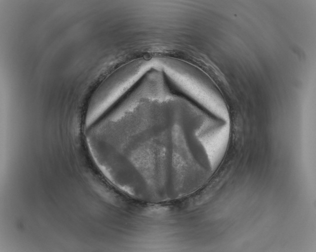 X0000113340257200910131225