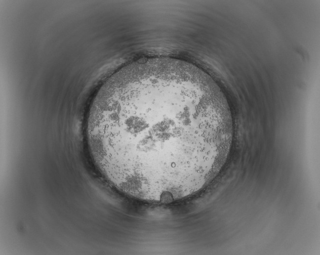 X0000113340258200910131225