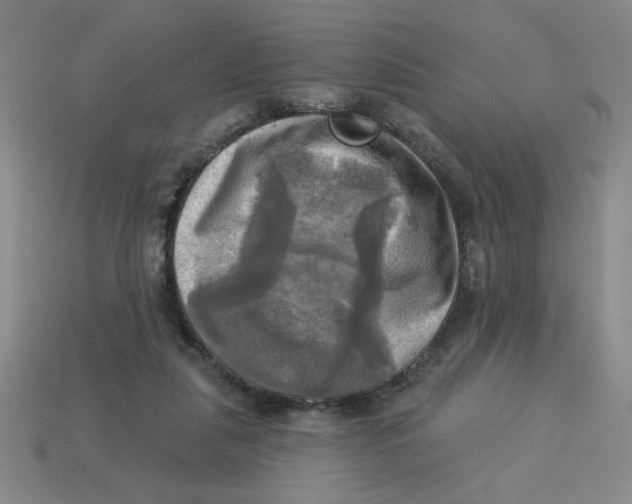 X0000113340259200910131225