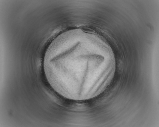 X0000113340260200910131225
