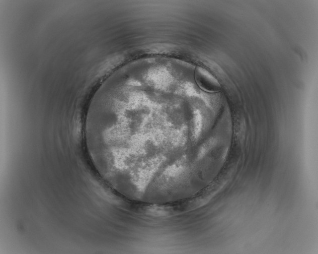 X0000113340261200910131225