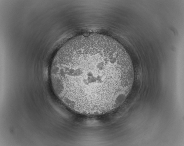 X0000113340262200910131225