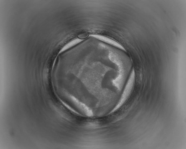 X0000113340263200910131225