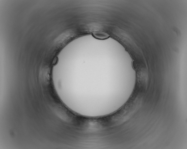 X0000113340264200910131225