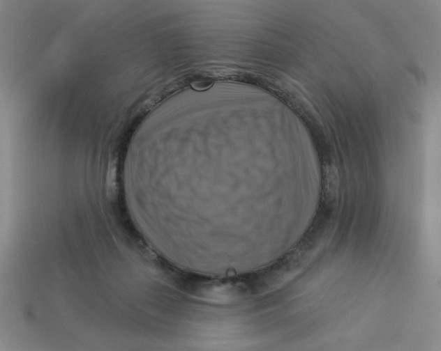 X0000113340267200910131225