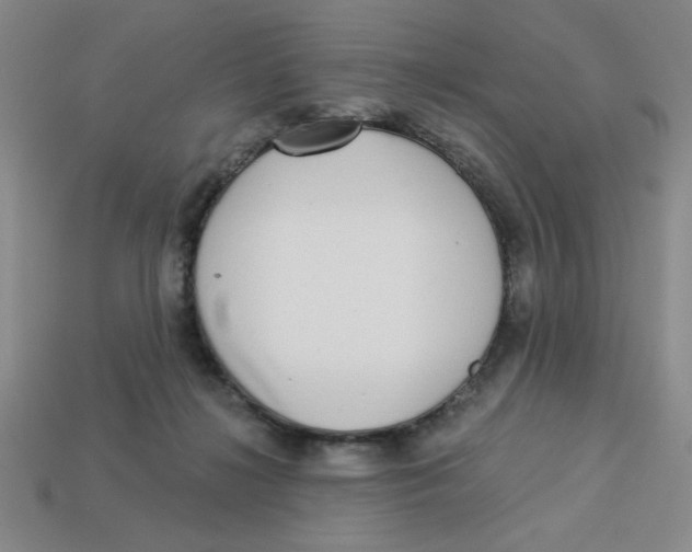 X0000113340268200910131225
