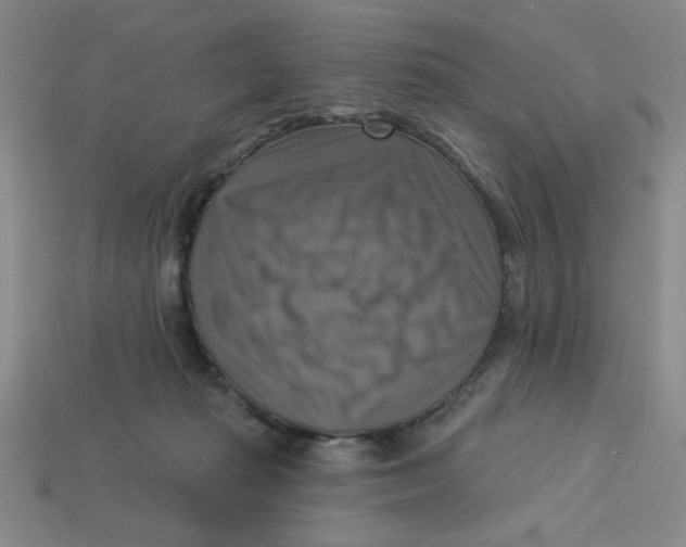 X0000113340269200910131225