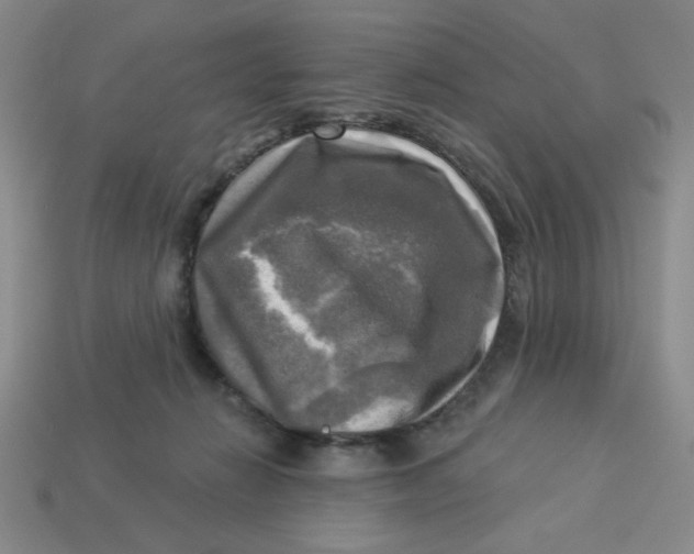 X0000113340270200910131225