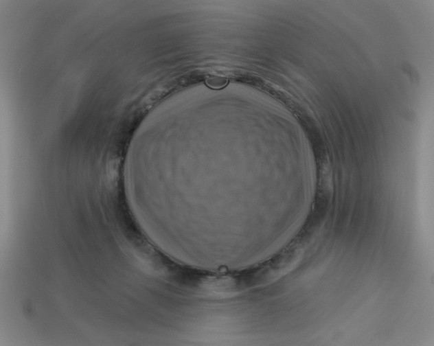 X0000113340271200910131225