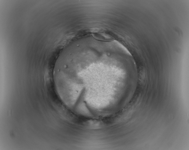 X0000113340272200910131225