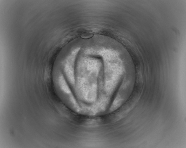 X0000113340274200910131225
