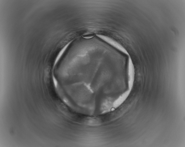 X0000113340275200910131225