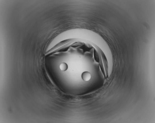 X0000113340276200910131225