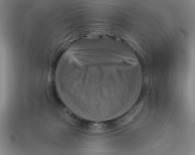 X0000113340277200910131225