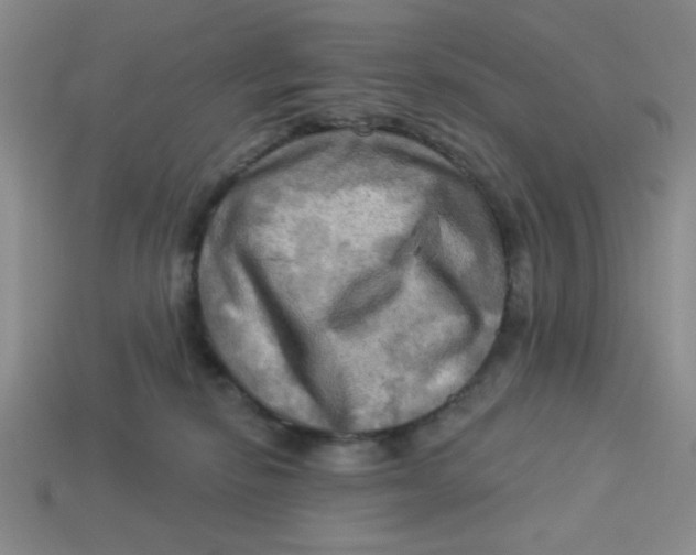 X0000113340278200910131225