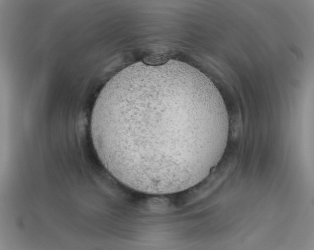 X0000113340279200910131225