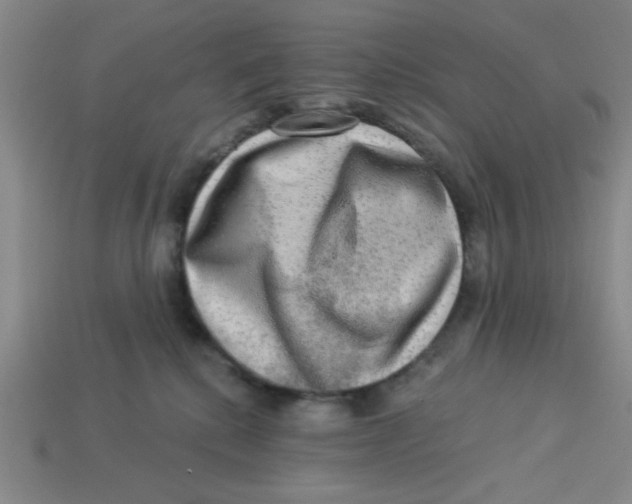 X0000113340280200910131225