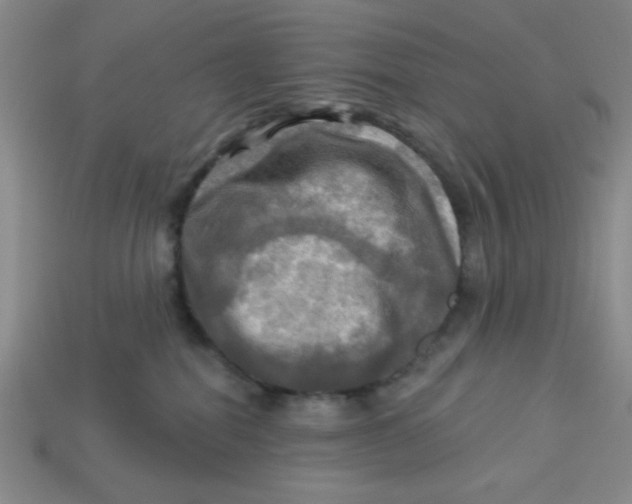 X0000113340282200910131225