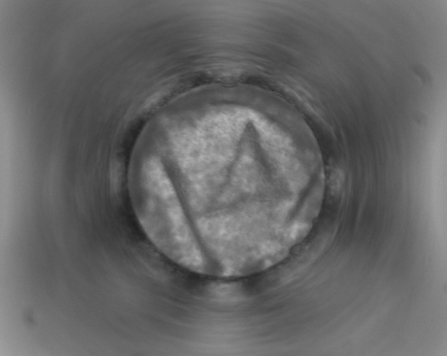 X0000113340283200910131225