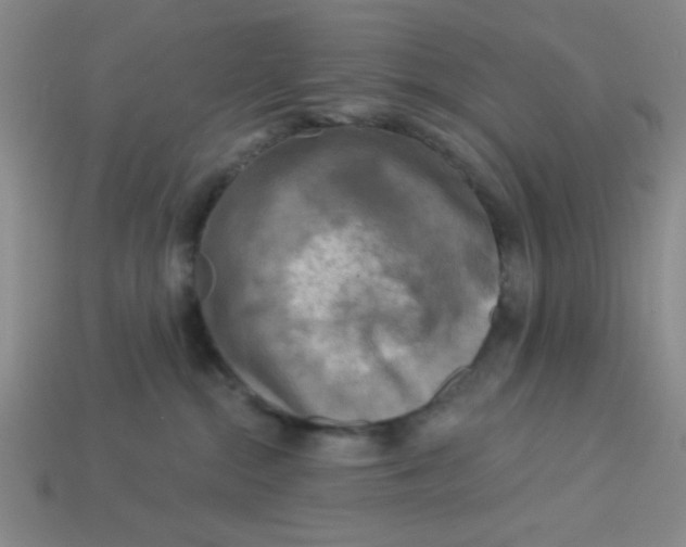 X0000113340284200910131225