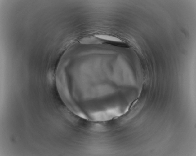 X0000113340285200910131225