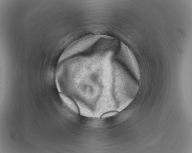 X0000113340288200910131225