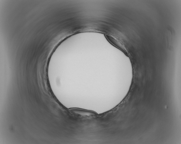 X0000113340289200910131224