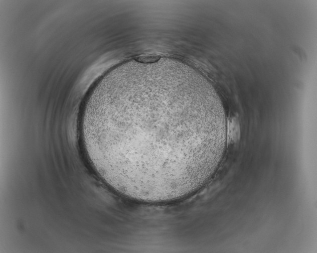 X0000113340291200910131224