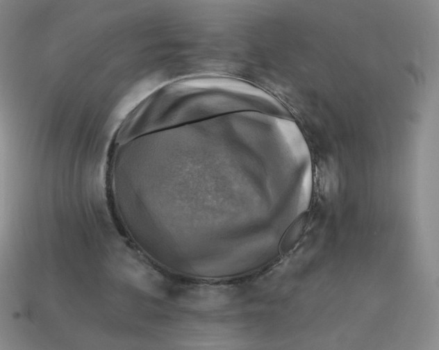 X0000113340292200910131224