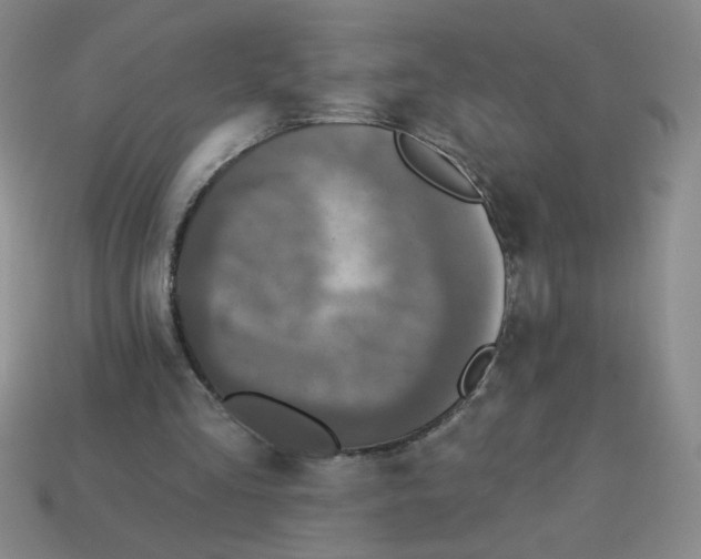 X0000113340293200910131224