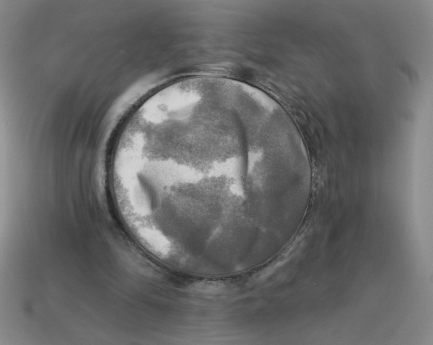 X0000113340294200910131224