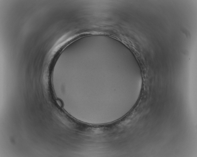 X0000113340295200910131224
