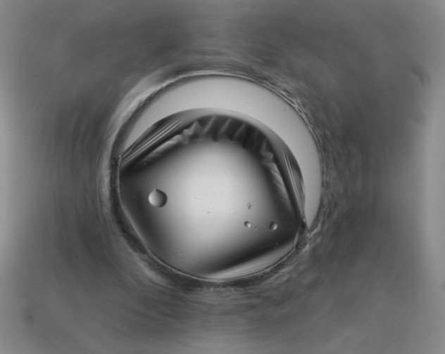 X0000113340296200910131224