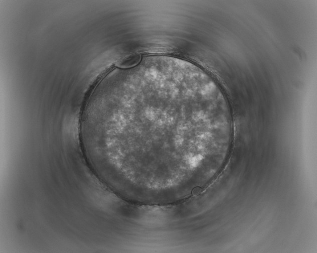 X0000113340297200910131224