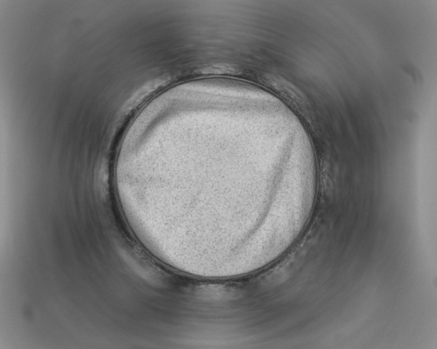 X0000113340298200910131224