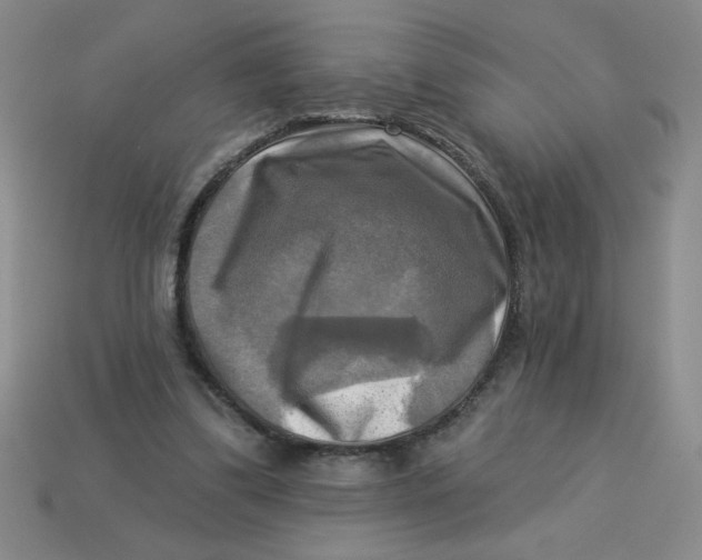 X0000113340299200910131224