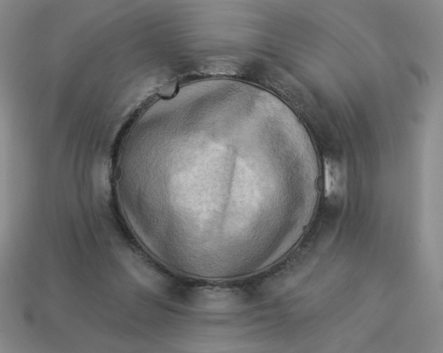 X0000113340300200910131224