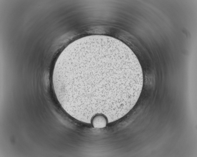 X0000113340302200910131224