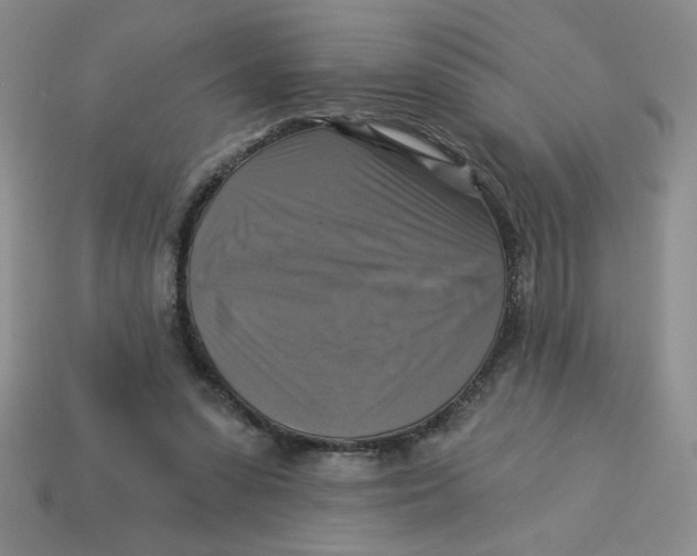 X0000113340303200910131224