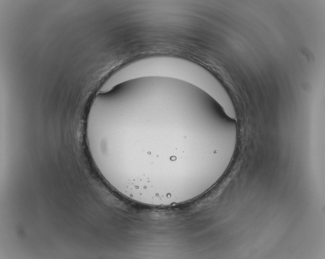 X0000113340305200910131224