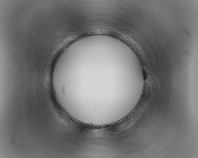 X0000113340306200910131224
