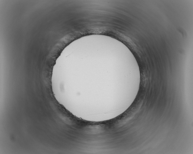 X0000113340307200910131224