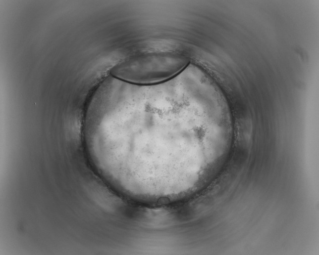 X0000113340309200910131224