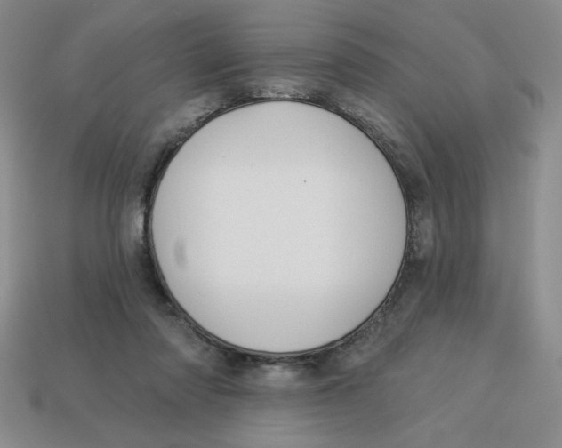X0000113340310200910131224