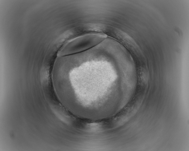 X0000113340312200910131224