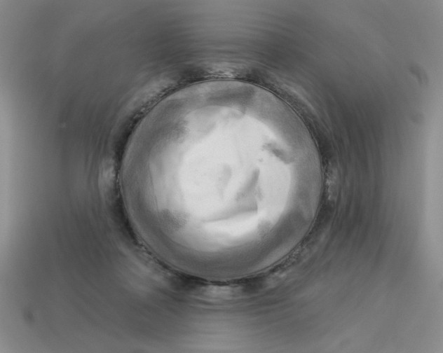 X0000113340314200910131224
