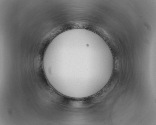 X0000113340318200910131224