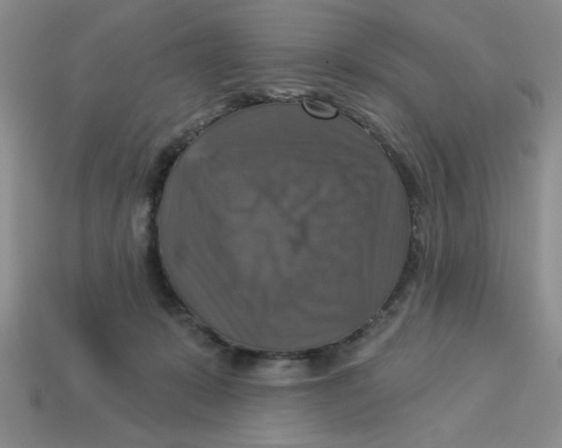 X0000113340319200910131224