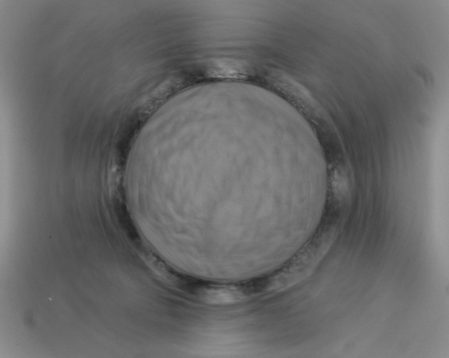 X0000113340322200910131224