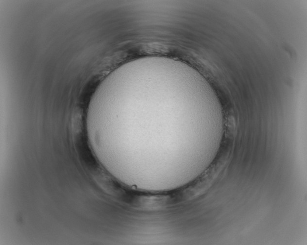 X0000113340323200910131224